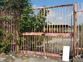 IMG_4234