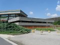 IMG_4256