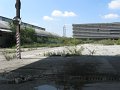 IMG_4304