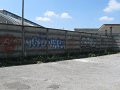 IMG_4310
