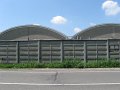 IMG_4321