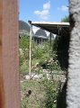 IMG_4338