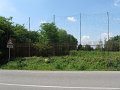 IMG_4368